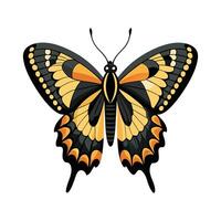 Papilio Cresphontes Artistic Design vector