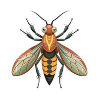Phaneroptera Nana Engaging Design vector