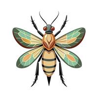 Phaneroptera Nana Stunning Representation vector