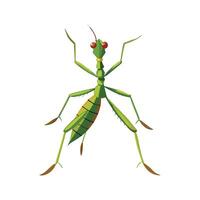 Phyllium Bioculatum Unique Art vector