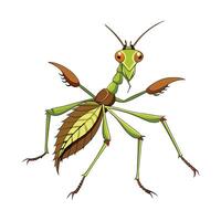 Phyllium Giganteum Unique Art vector