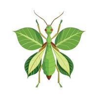 Phyllium Bioculatum Artistic Design vector