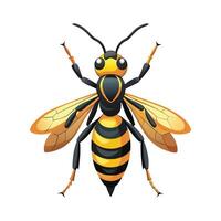 Polistes Fuscatus Unique Art vector