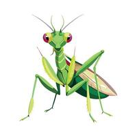 Pseudocreobotra Wahlbergii Unique Art vector