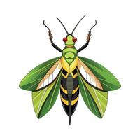 Pseudophasma Rufipes Unique Art vector