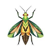 Pseudophasma Rufipes Engaging Design vector