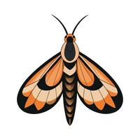 Pseudosphinx Tetrio Unique Art vector