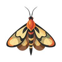 Pseudosphinx Tetrio Artistic Design vector