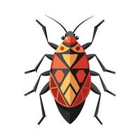 Pyrrhocoris Apterus Engaging Design vector