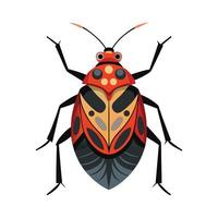 Pyrrhocoris Apterus Artistic Design vector