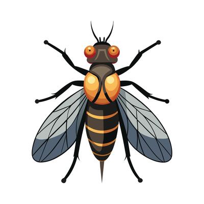 Rhamphomyia Longicauda Artistic Design