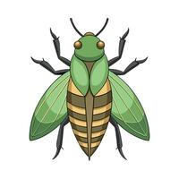 Ruspolia Nitidula Artistic Design vector