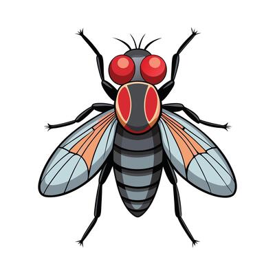Sarcophaga Carnaria Engaging Design