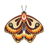 Saturnia Pyri Unique Art vector