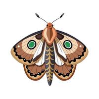 Saturnia Pyri Stunning Representation vector