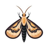 Sesia Apiformis Unique Art vector