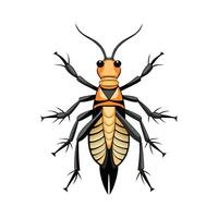 Sipyloidea Sipylus Engaging Design vector