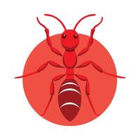 Solenopsis Invicta Engaging Design vector