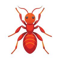 Solenopsis Invicta Artistic Design vector
