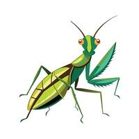 Sphodromantis Lineola Engaging Design vector