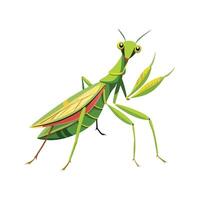 Sphodromantis Lineola Unique Art vector