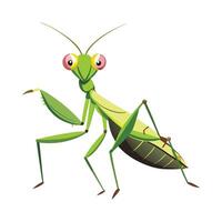Sphodromantis Lineola Stunning Representation vector