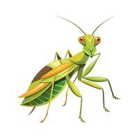 Sphodromantis Lineola Artistic Design vector