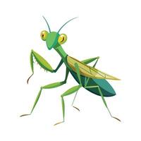 Stagmomantis Carolina Unique Art vector