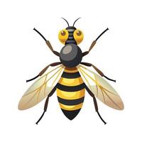 Syrphus Ribesii Unique Art vector