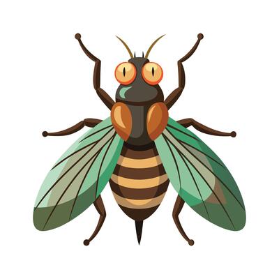 Tabanus Bromius Unique Art