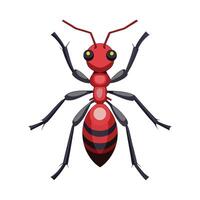 Tetramorium Caespitum Stunning Representation vector