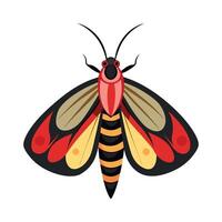 Tropidia Scita Unique Art vector