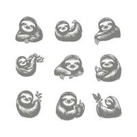 Slow Motion Sloth collection logo vector