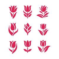 Ruby Mist Tulip Collection Logo vector