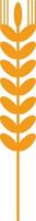 Minimalist illustration of a stylized wheat stalk, representing concepts like agriculture, farming, healthy food, and organic products, with a simple, bold design and vibrant orange color vector