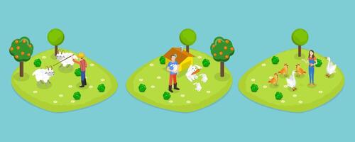 3D Isometric Flat Set of Farms, Farmers are Taking Care of Sheeps, Chickens and Rabbits vector