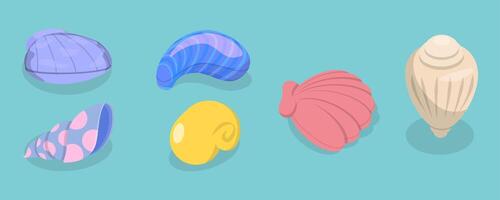 3D Isometric Flat Set of Seashells, Ocean Cockleshells vector