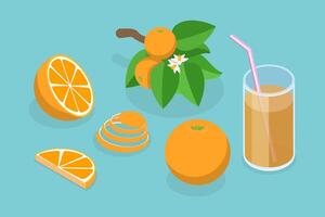 3D Isometric Flat Set of Orange Fruit, Whole and Slices, Branch with Leaves vector