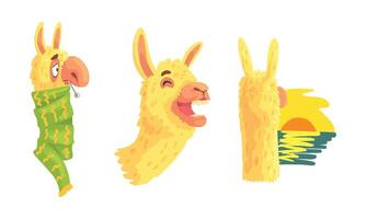 Cute Lama Character Taking the Temperature and Watching Sunset Set vector