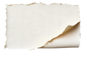 Torn paper with a textured surface and transparent background png
