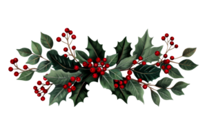 Holly branches with red berries on a clear background png