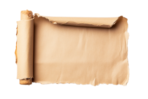 Torn edge scroll on transparent background png