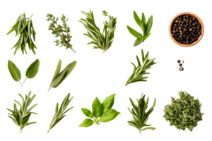 Fresh herbs arranged on a transparent background for culinary use png