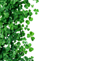 Clovers scattered on a transparent background for decoration png