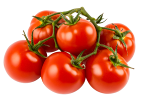 Vine tomatoes on branch, isolated against black background, cut out transparent png