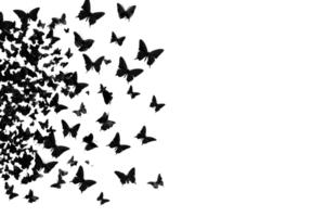 Ethereal butterflies, flowing from dark abyss, cut out transparent png