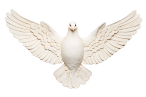 White dove with open wings on a black background, cut out transparent png