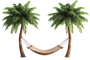 Hammock hung between palm trees for relaxation, cut out transparent png