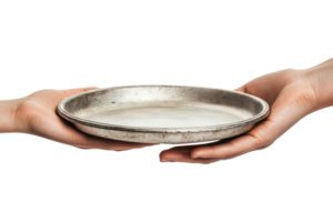 Hand holding metal tray, offering gesture, empty plate, cut out transparent png