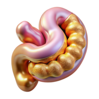 wonderful rustic Anatomical Intestine Illustration Isolated for Digestive System high resolution png